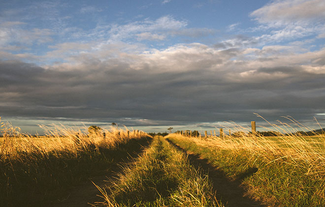 Dark clouds over farmland investments