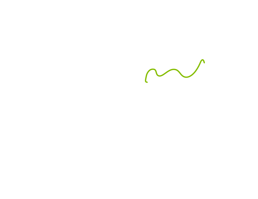 Un jeune homme qui regarde un ordinateur portable