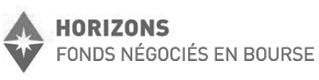 Deux triangles avec une étoile au milieu et le logo Horizons